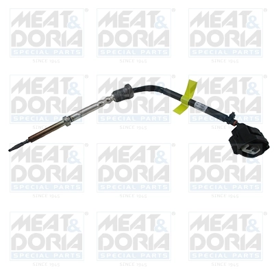 Sensor, exhaust gas temperature